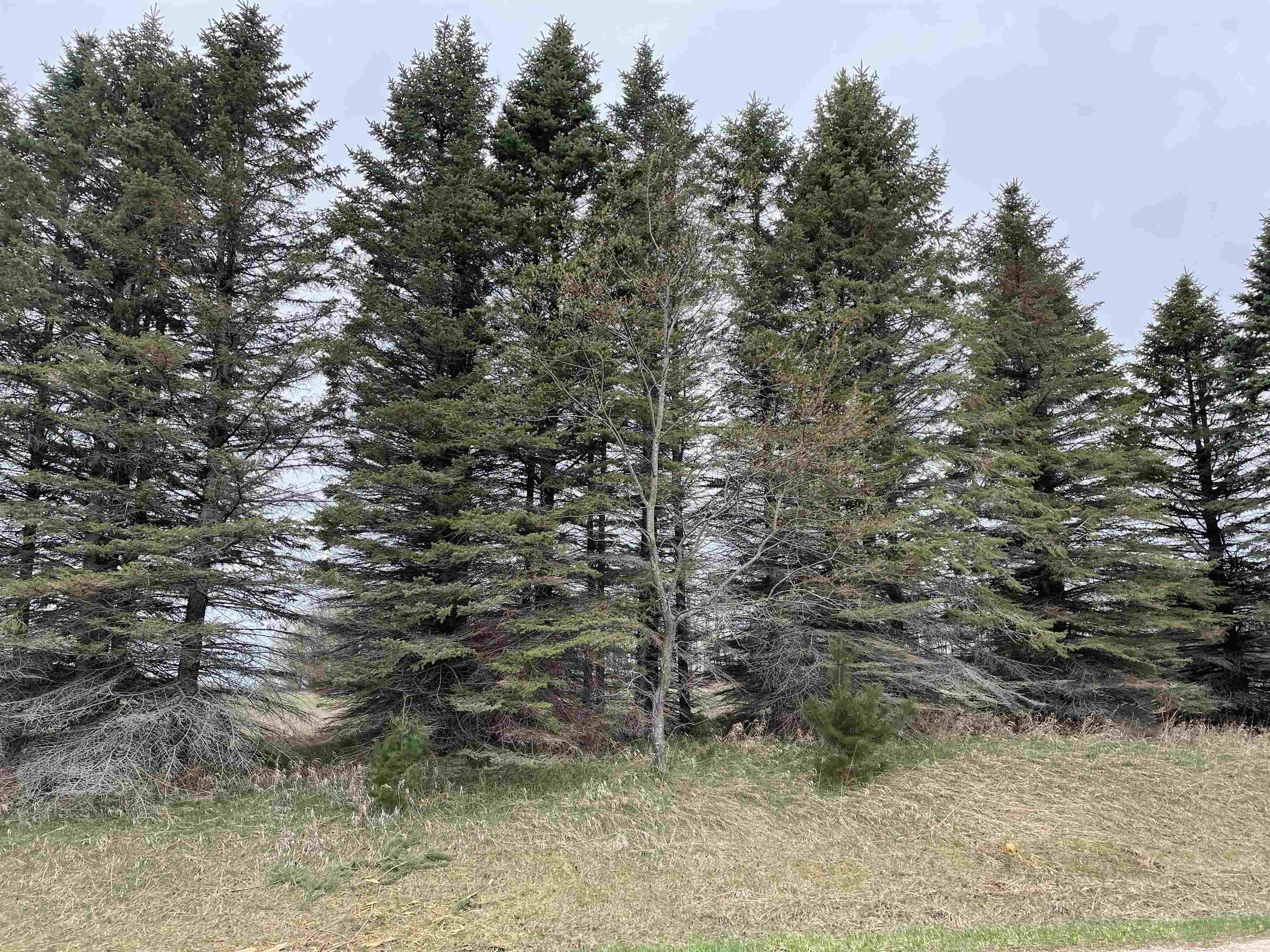 K Summit City Road, Unit LOT: K Kingsley, MI 49649 - Photo 16 of 40