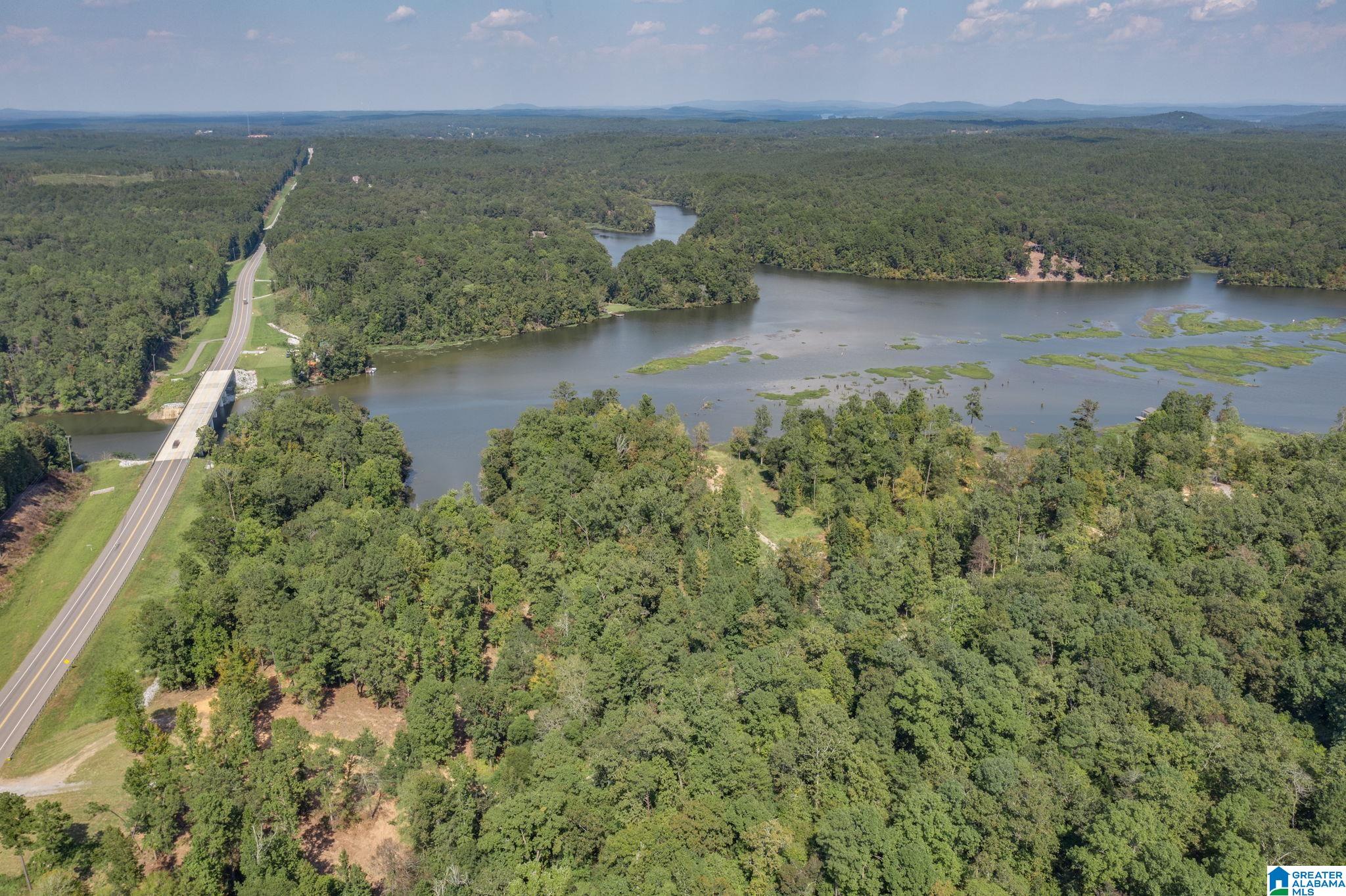 Lot 11 County Road 730, Unit 11 Clanton, AL 35046 - Photo 2 of 14