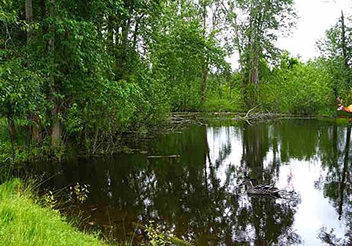 29126 North Sherman Road Deer Park, WA 99006 - Photo 24 of 28 Gallery Image 24