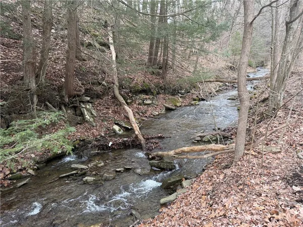 $250,000 | 10 Weaver Creek Road, Erwin, NY 14870