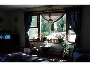 660 Borough Road Hill, NH 03243 - Photo 3 of 5
