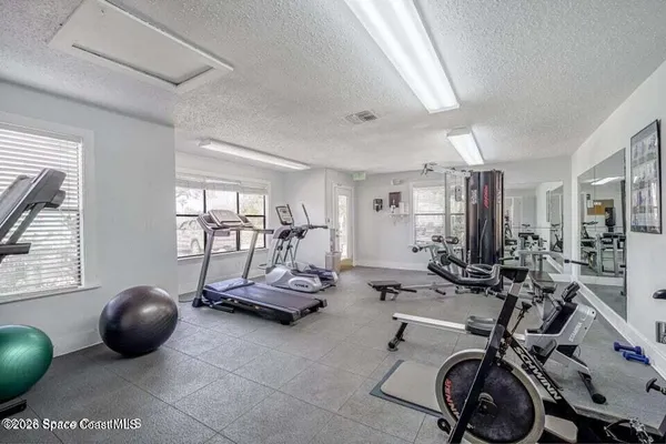 a street view with tall trees