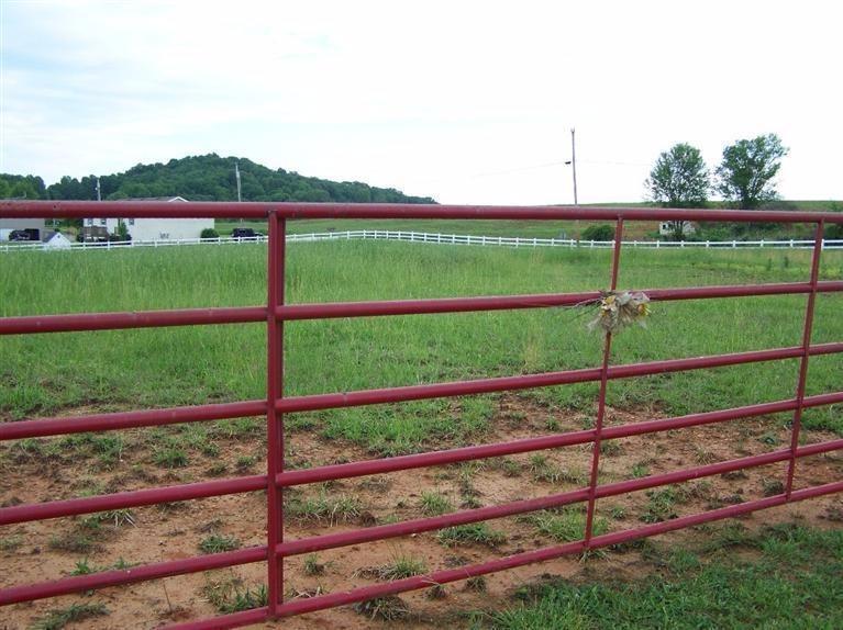 1382 Estill Hackney Road Eubank, KY 42567 - Photo 5 of 14 Additional Photo