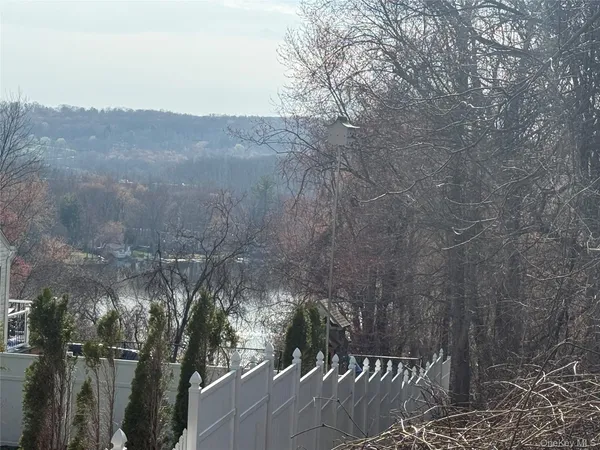 a view of a forest