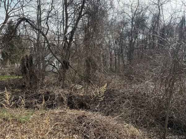 a view of a dry yard with trees