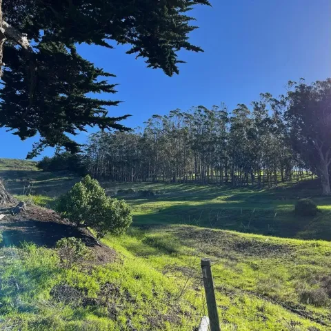 a view of a lake from a yard