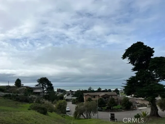 a view of a bunch of trees in a field