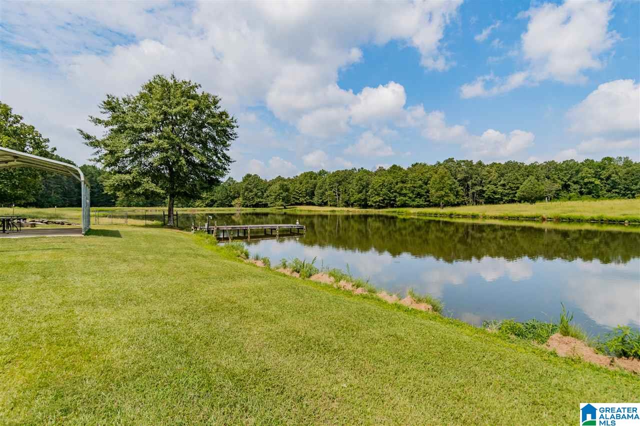 654 Mitchellville Road Ohatchee, AL 36271 - Photo 34 of 41