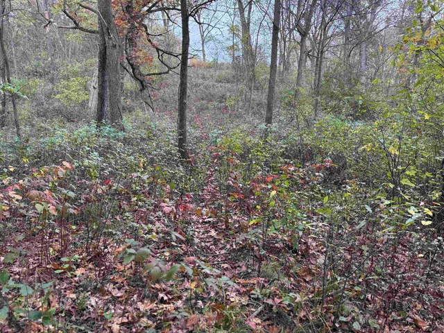 $1,200,000 | 3428 Bluto Boulevard, Mount Horeb, WI 53572