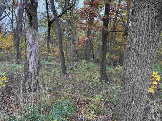 $1,200,000 | 3428 Bluto Boulevard, Mount Horeb, WI 53572