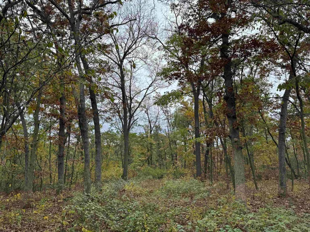 $1,200,000 | 3428 Bluto Boulevard, Mount Horeb, WI 53572