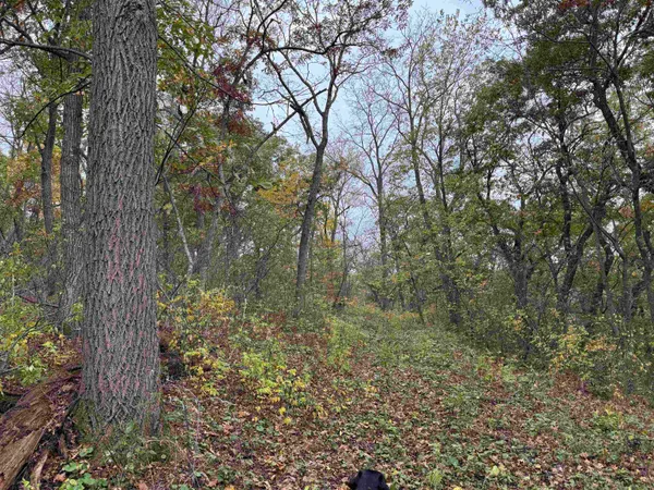 $1,200,000 | 3428 Bluto Boulevard, Mount Horeb, WI 53572