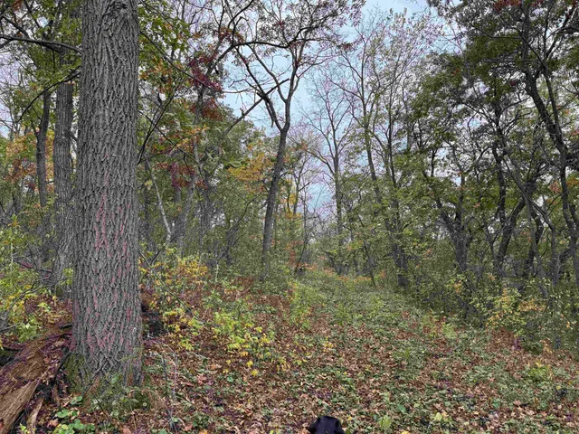 $1,200,000 | 3428 Bluto Boulevard, Mount Horeb, WI 53572