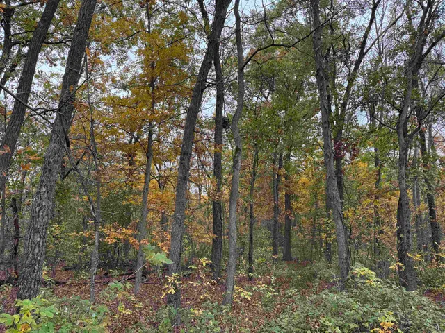 $1,200,000 | 3428 Bluto Boulevard, Mount Horeb, WI 53572