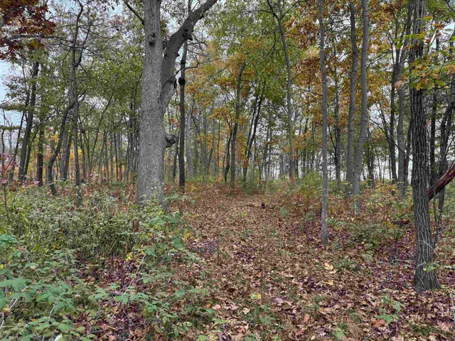 $1,200,000 | 3428 Bluto Boulevard, Mount Horeb, WI 53572