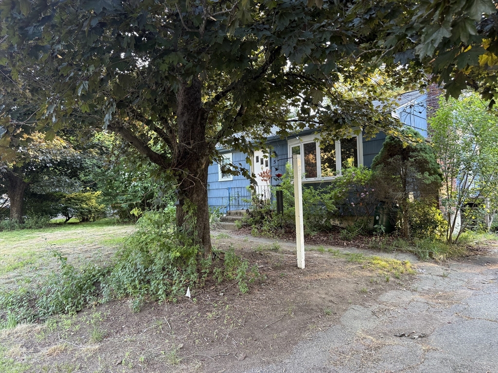 5 Delmar Road Medway, MA 02053 - Photo 2 of 15