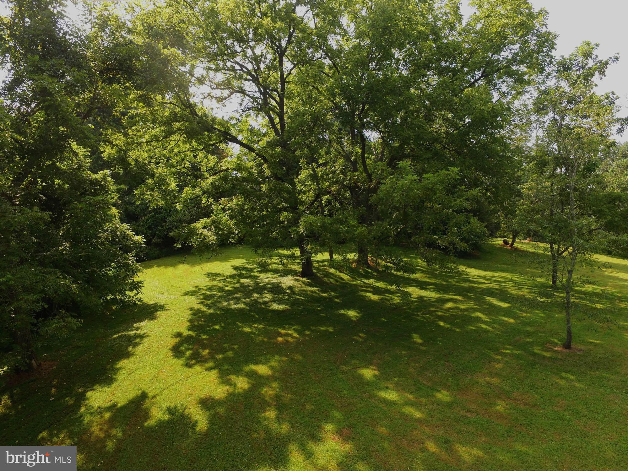 2823 Benson Mill Road Sparks, MD 21152 - Photo 16 of 30 Old shade trees, woods, and fields
