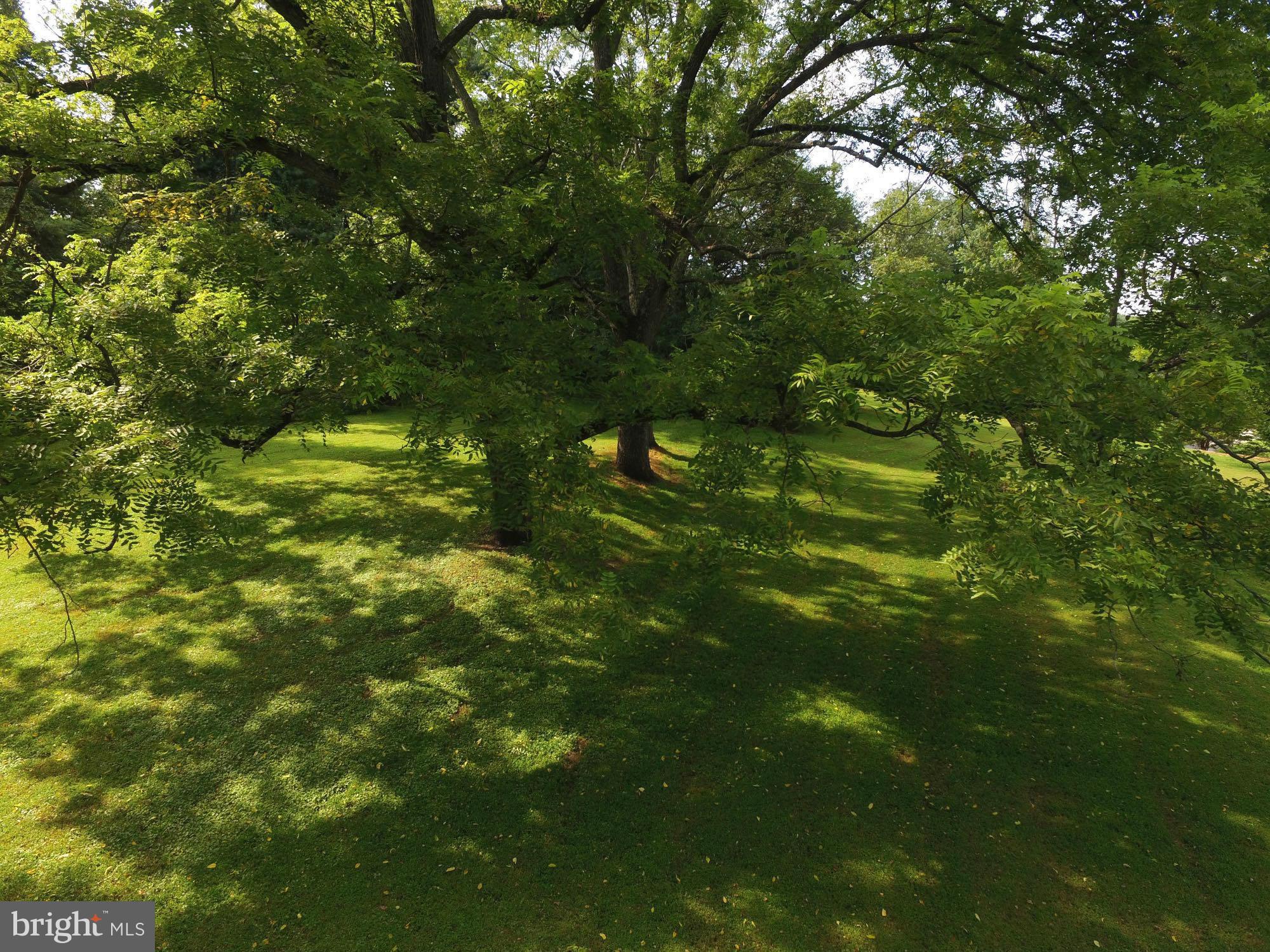 2823 Benson Mill Road Sparks, MD 21152 - Photo 24 of 30 Mature shade trees, expansive lawns & gardens
