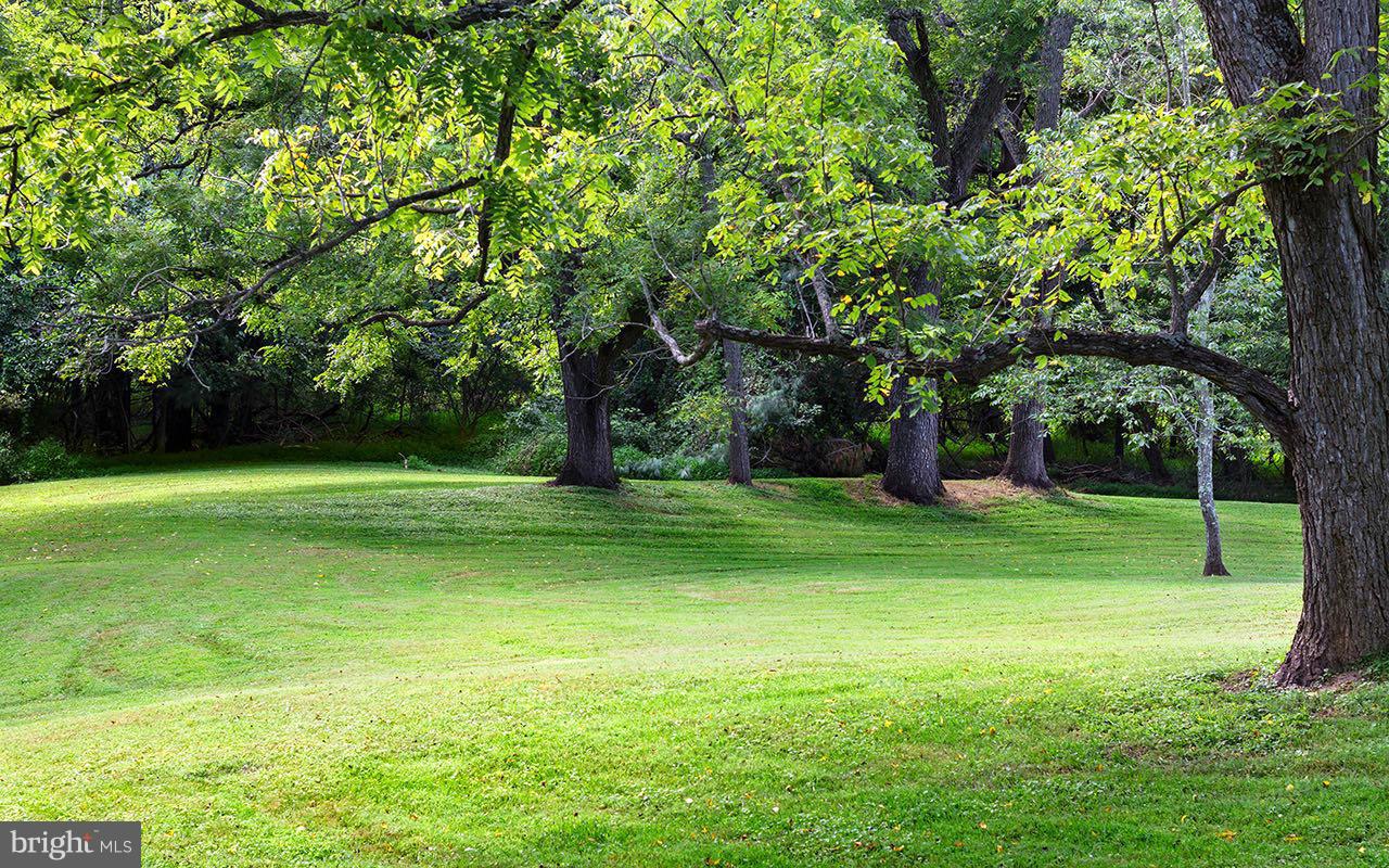 2823 Benson Mill Road Sparks, MD 21152 - Photo 25 of 30 Meandering lawn to leads to pine forest & stream