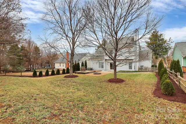a street view with large trees