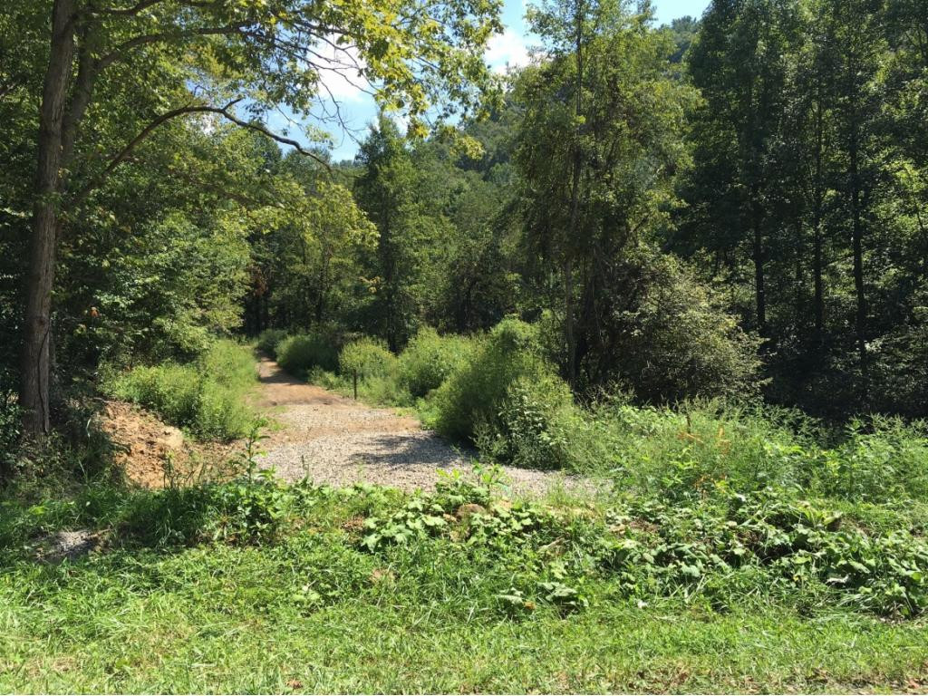 5128 Hummingbird Road Coeburn, VA 24230 - Photo 34 of 36 Spear Head Trail Entrance