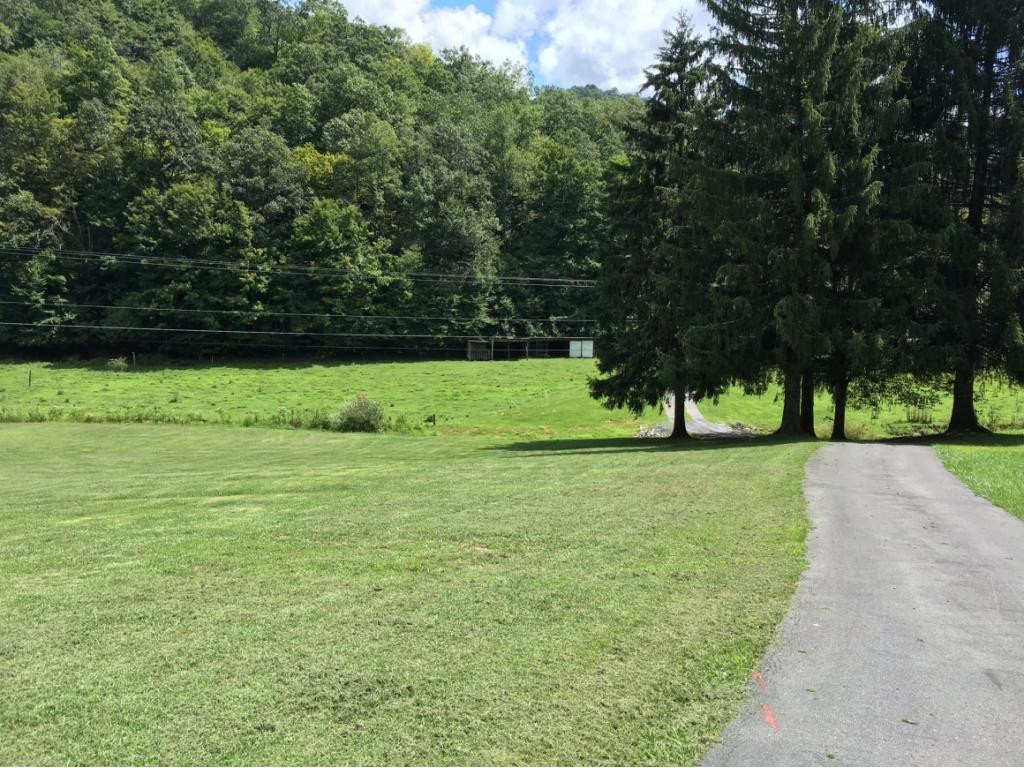 5128 Hummingbird Road Coeburn, VA 24230 - Photo 35 of 36 The Road that Leads to