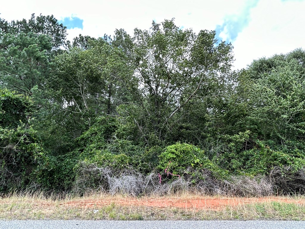 75/ Nuclear Plant Road Columbia, AL 36319 - Photo 2 of 34