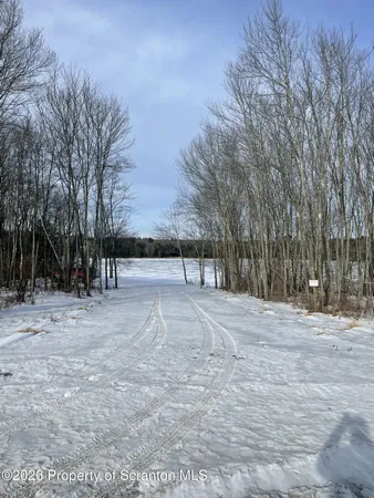 a view of outdoor space with trees