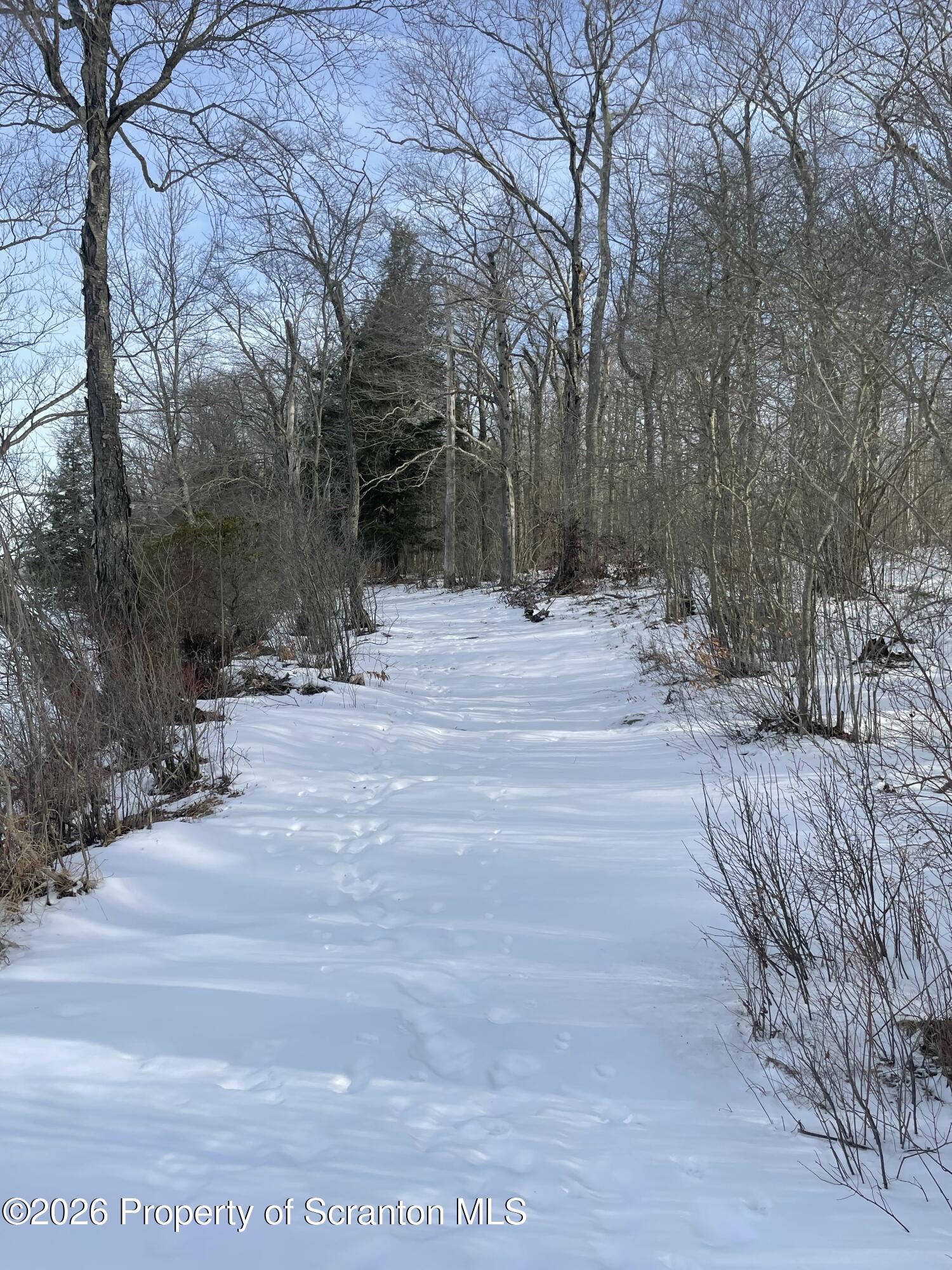 1 A And 3a May Road Thompson, PA 18465 - Photo 14 of 18 IMG_8885