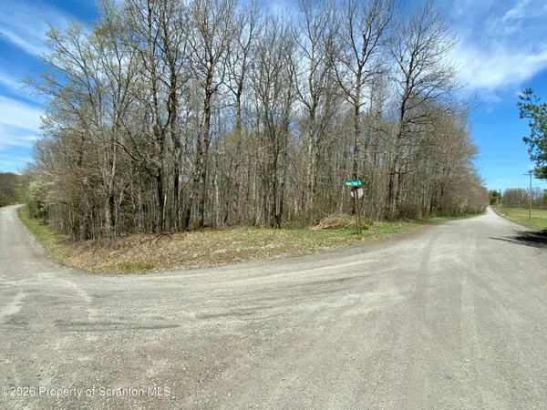 a view of a yard with large trees