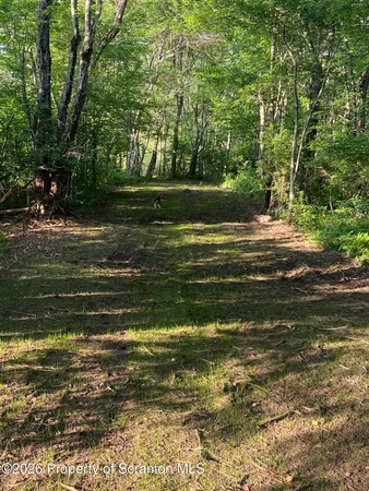 a view of a golf course