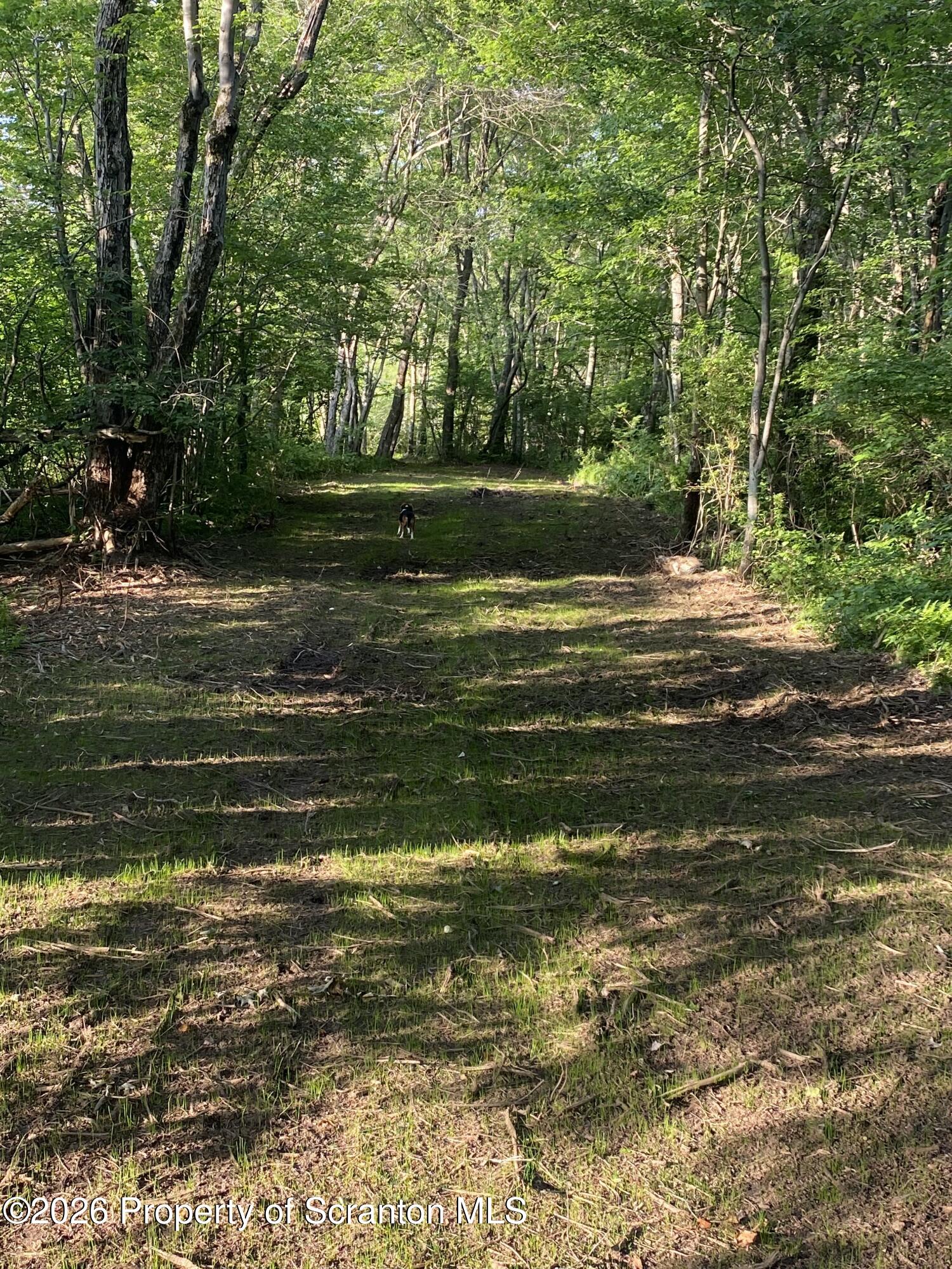 1 A And 3a May Road Thompson, PA 18465 - Photo 8 of 18 IMG_1065