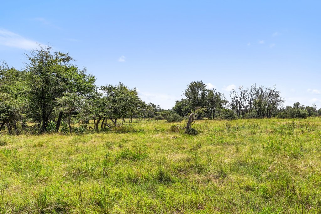 Tbd Reeh Road Fredericksburg, TX 78624 - Photo 30 of 37 A tranquil meadow with scattered trees under an open sky, perfect for a peaceful retreat.