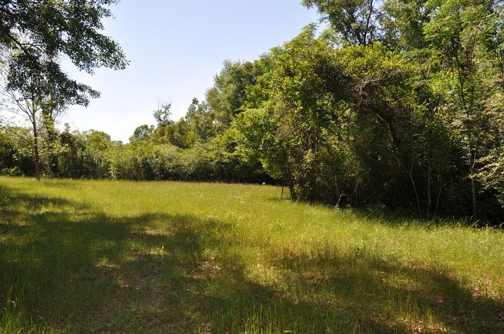 910 Holley Mill Road Samson, AL 36477 - Photo 36 of 58