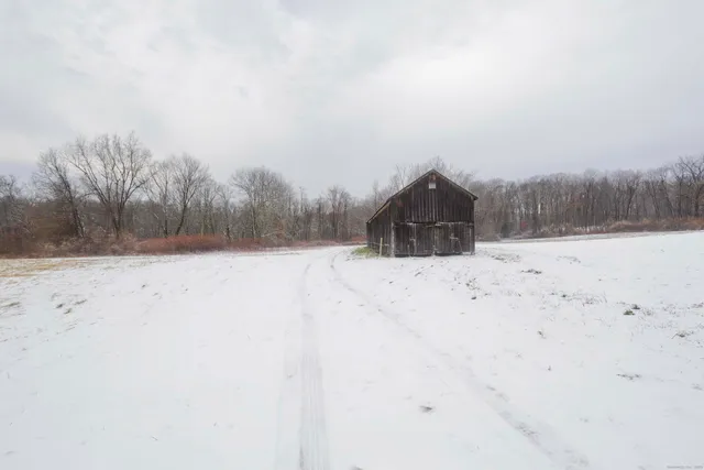 a view of garage and yard