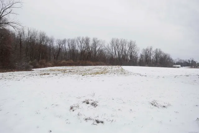 a view of a yard with plants and trees