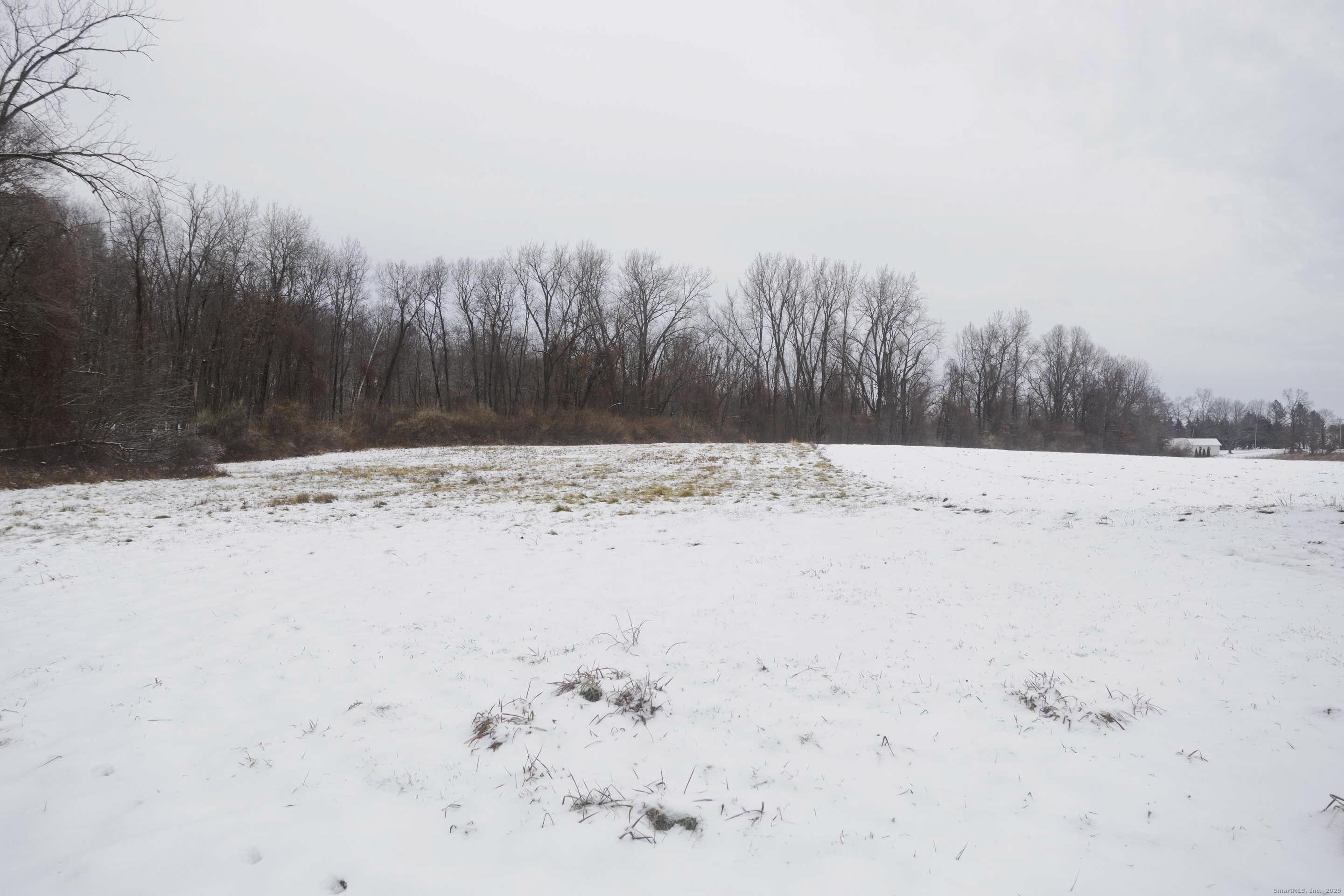 1095 South Grand Street Suffield, CT 06093 - Photo 26 of 31 a view of yard covered with snow in the background