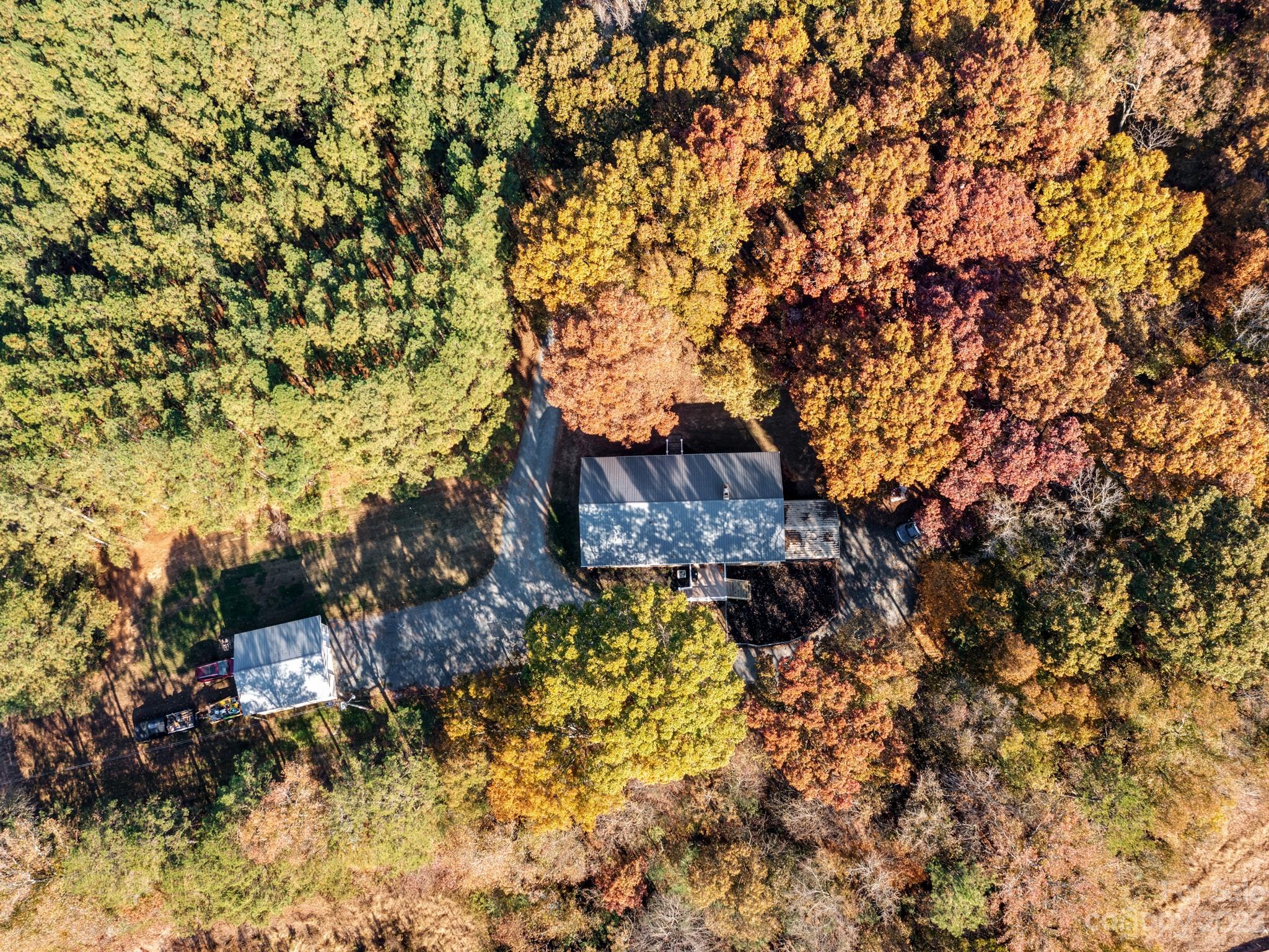 33702 Western Road Albemarle, NC 28001 - Photo 42 of 42 a picture of trees