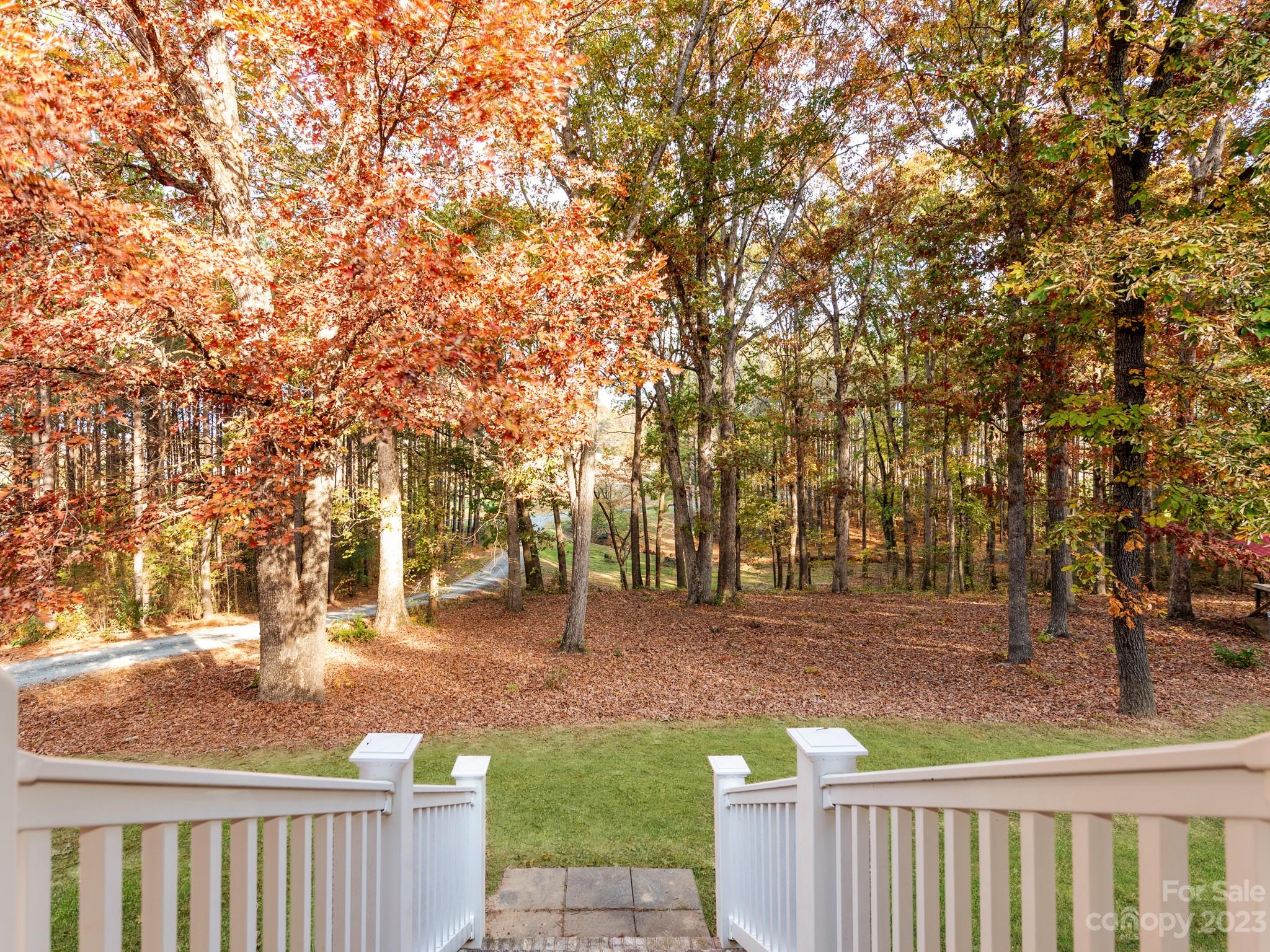 33702 Western Road Albemarle, NC 28001 - Photo 8 of 42 a view of a yard with large trees
