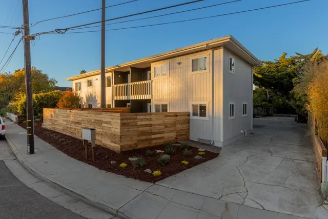 a view of a patio with couches and a potted plant on a table