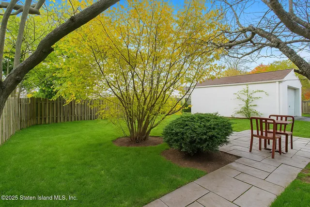 a view of a backyard with potted plants and a large tree