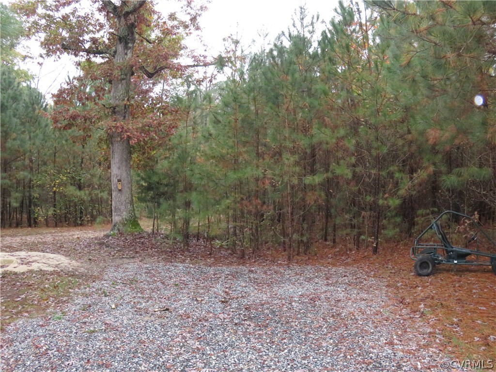 616 Ashdale Road Center Cross, VA 22437 - Photo 18 of 28 Gallery Image 18