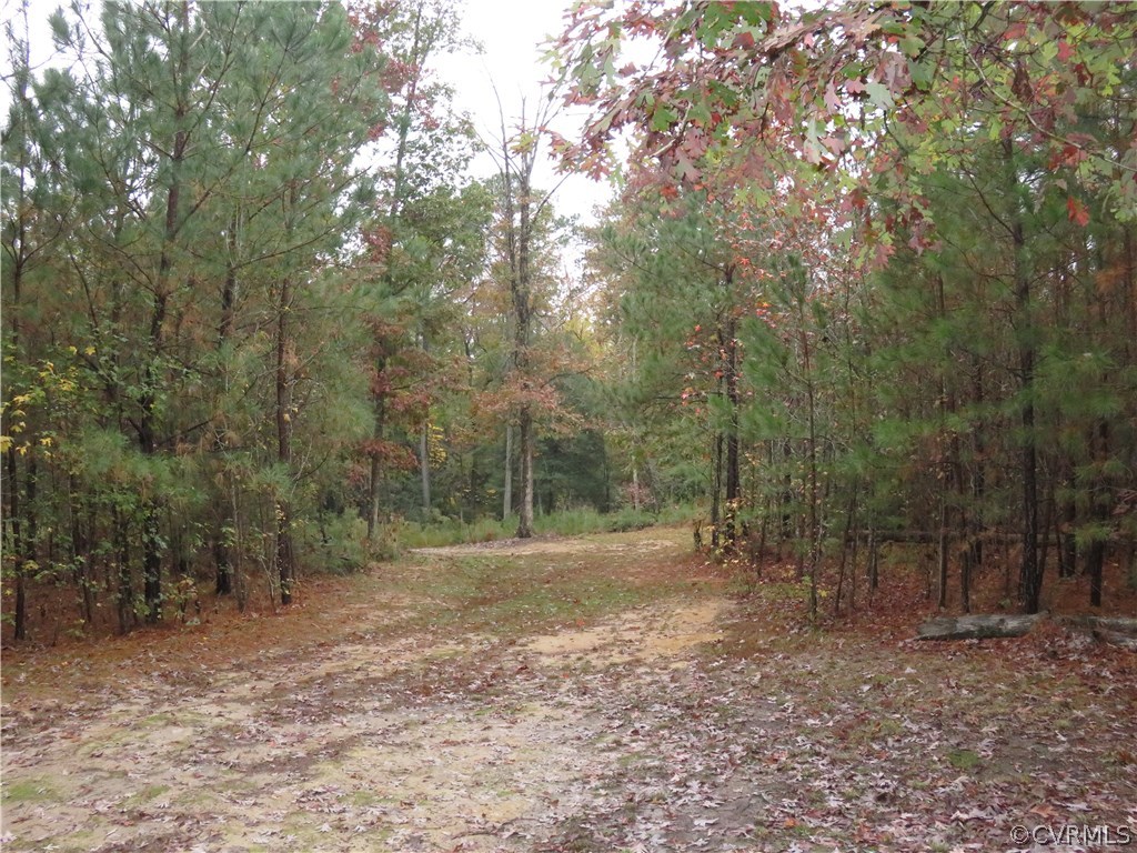 616 Ashdale Road Center Cross, VA 22437 - Photo 19 of 28 Gallery Image 19
