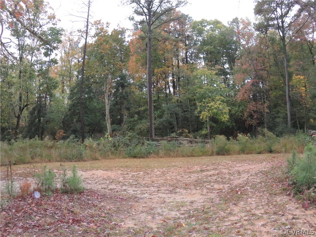 616 Ashdale Road Center Cross, VA 22437 - Photo 20 of 28 Gallery Image 20
