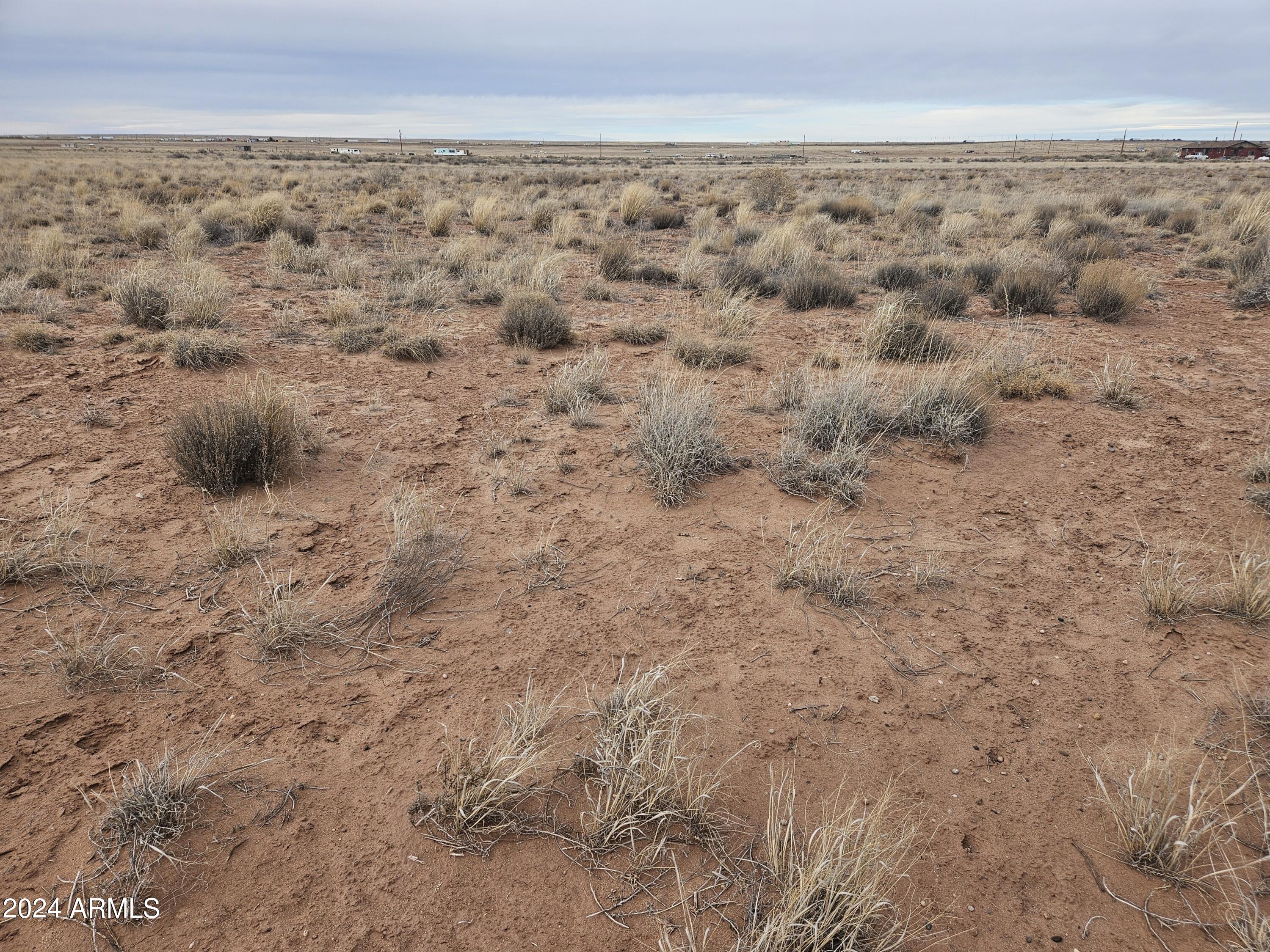 20240224_AZRancho33_Lot54(1)
