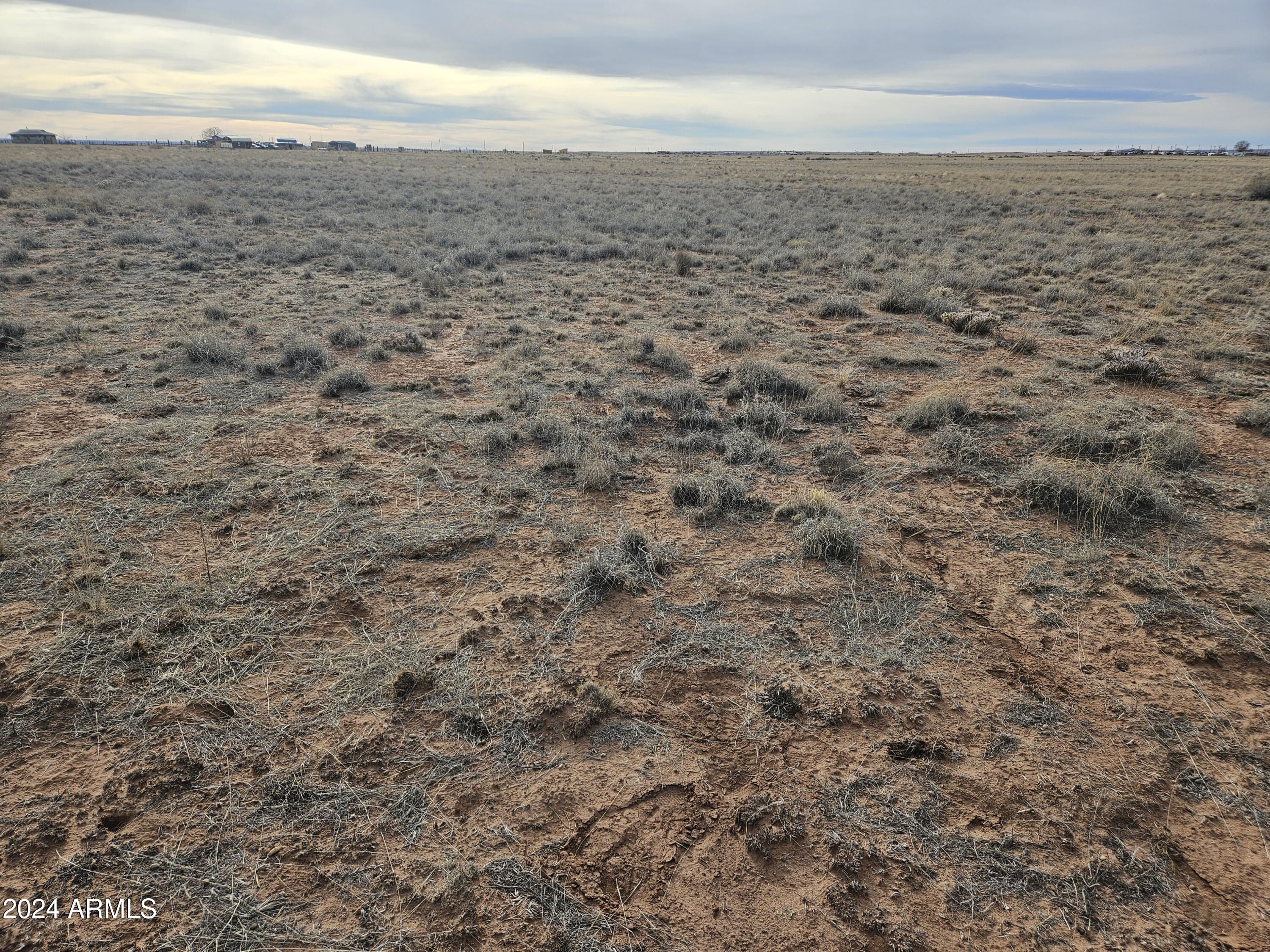 20240224_AZRancho33_Lot54(3)