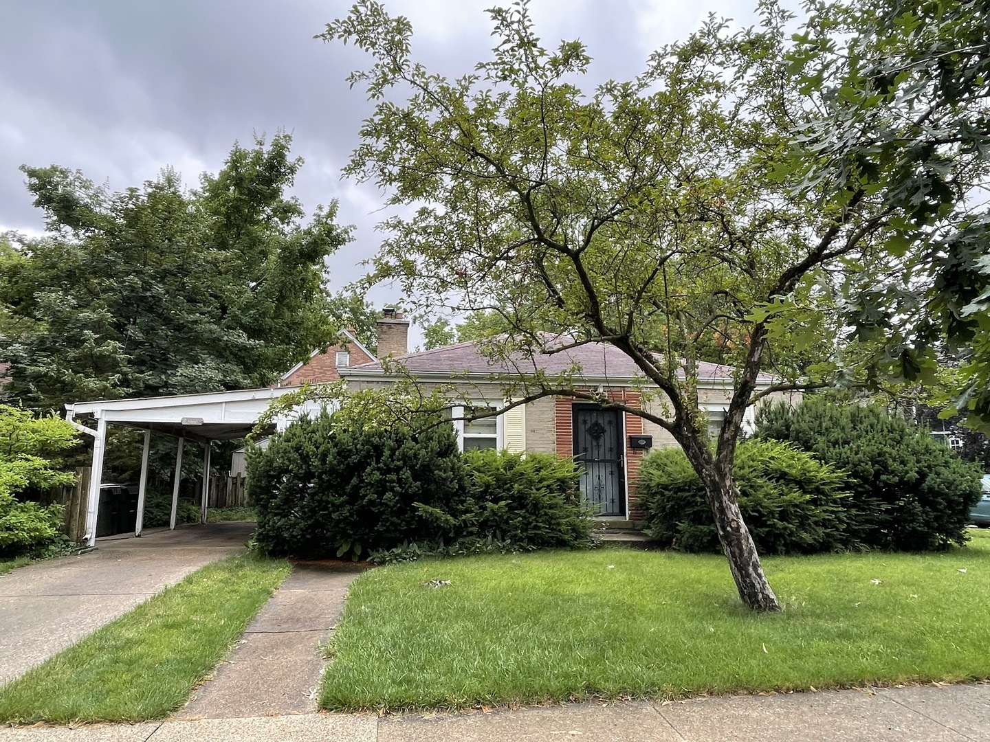 119 Pine Avenue Riverside, IL 60546 - Photo 1 of 14