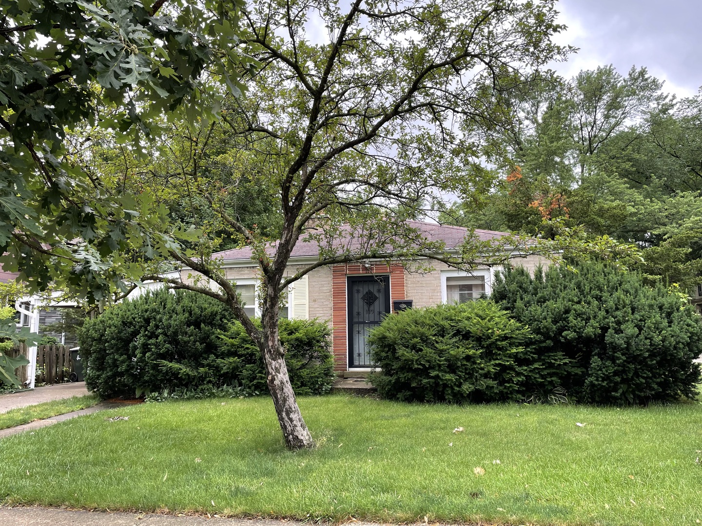 119 Pine Avenue Riverside, IL 60546 - Photo 2 of 14