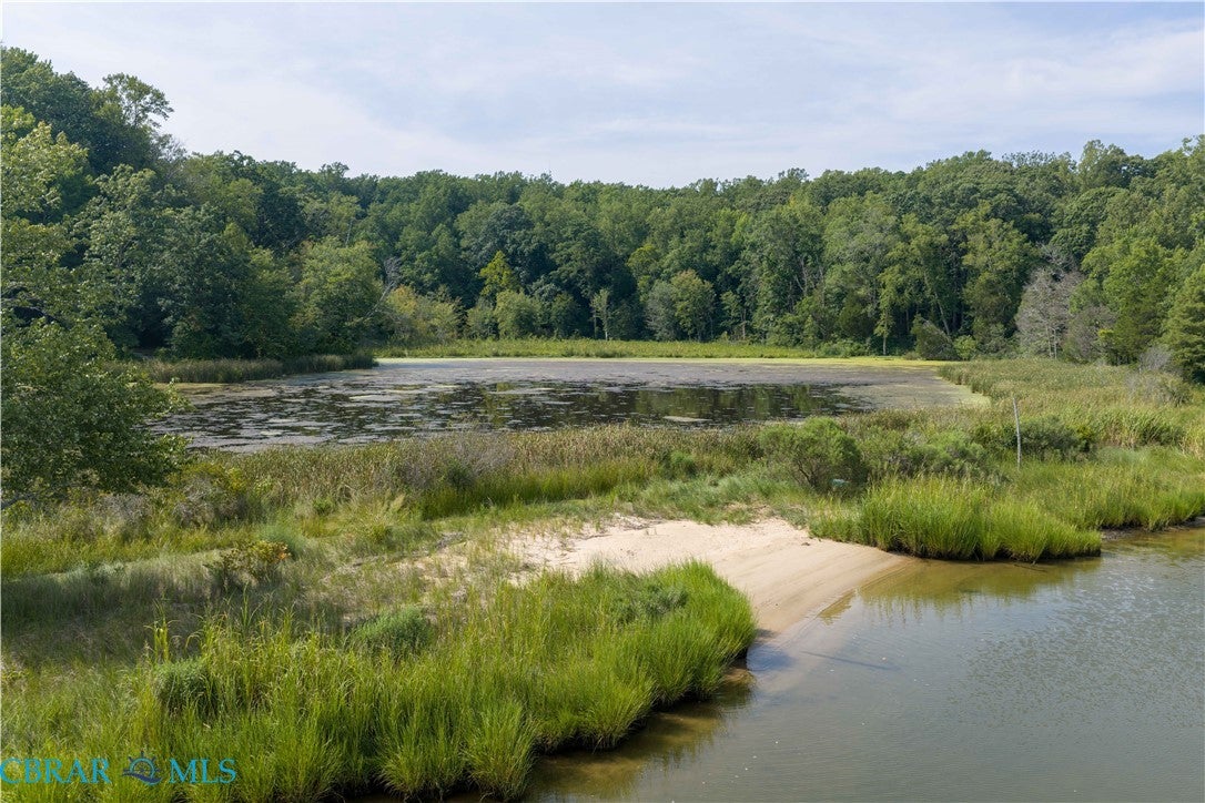 2977 Butylo Road Jamaica, VA 23079 - Photo 41 of 54 Gallery Image 41