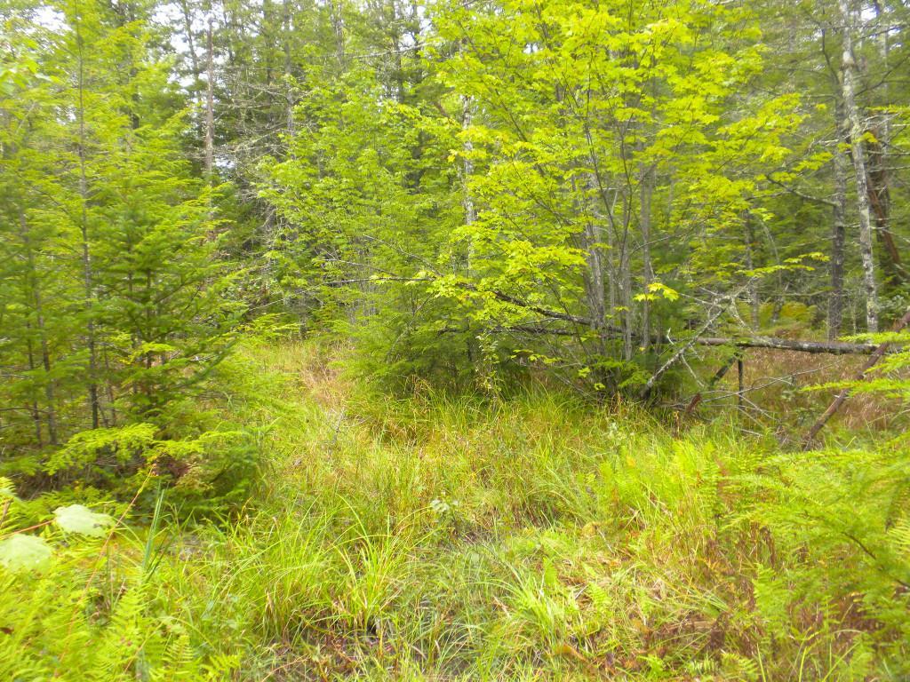 7 River Road Limington, ME 04049 - Photo 18 of 26 Photo